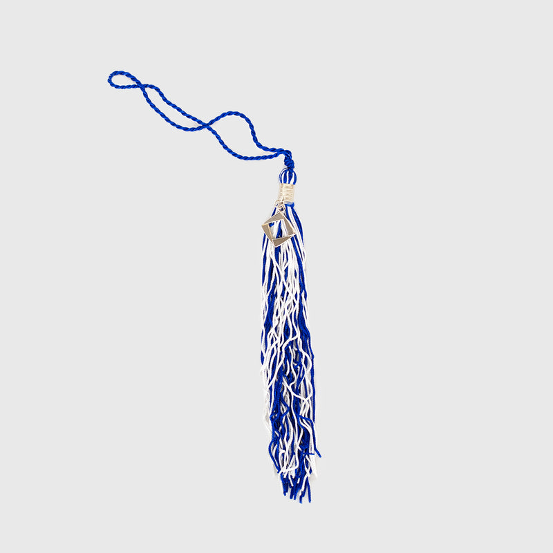 Tassel Depot 2023 Navy/RED/White Graduation Tassel - Every School Color Available - Made In USA