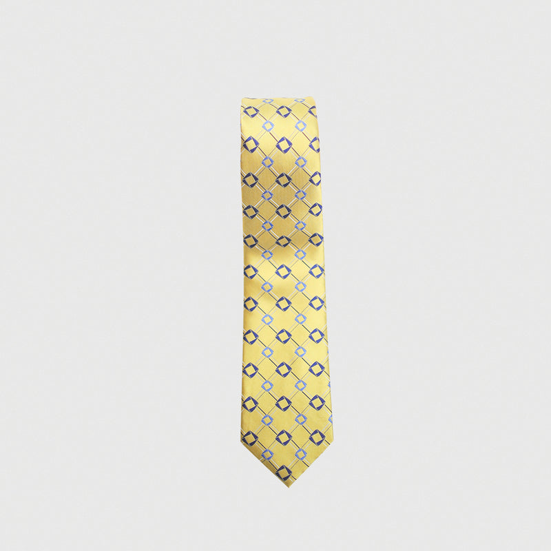 Professional Neck Tie