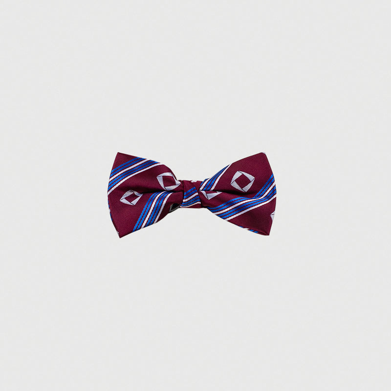 Professional Bow Tie